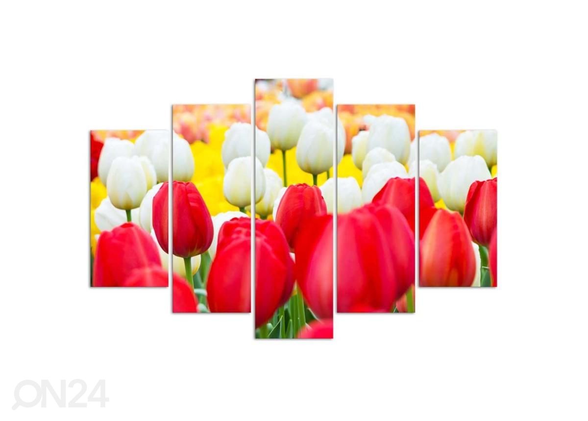 Viieosaline seinapilt White and Red Tulips 100x70 cm suurendatud