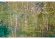 Fliis fototapeet Leaves Abstract 150x250 cm