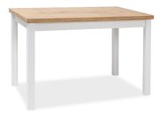 Söögilaud Robert 100x60 cm