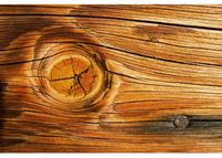 Fliis fototapeet Wood knot 150x250 cm