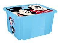 Kast kaanega Mickey 45 L