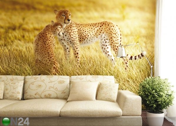 Fliis-fototapeet Cheetahs 330x255 cm