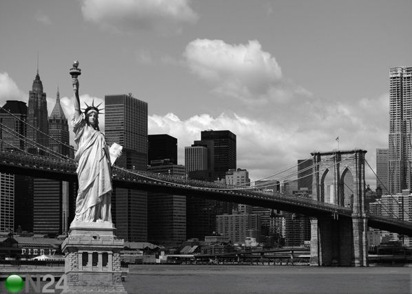 Fliis-fototapeet Statue of Liberty 360x270 cm