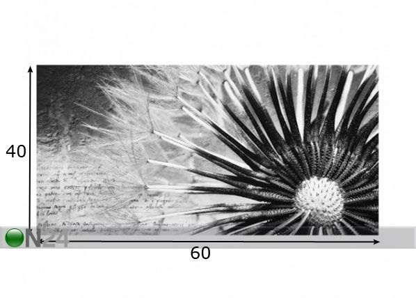 Fotoklaas, köögi tagasein Dandelion Black & White 1 40x60 cm mõõdud