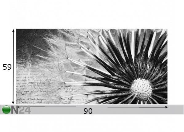 Fotoklaas, köögi tagasein Dandelion Black & White 1, 59x90 cm mõõdud