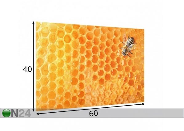 Fotoklaas, köögi tagasein Honey Bee 40x60 cm mõõdud