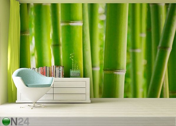 Fototapeet Bambus 360x254 cm