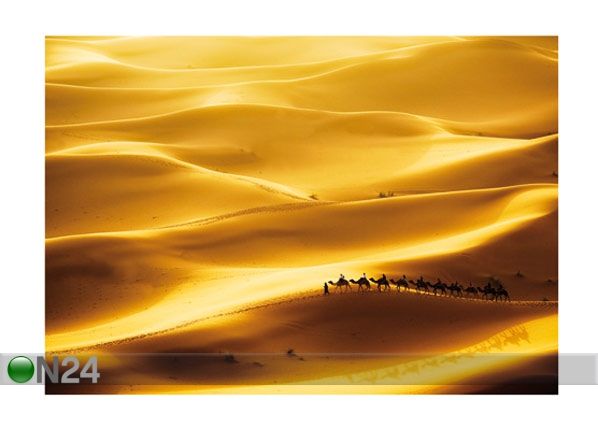 Fototapeet Golden dunes 400x280 cm