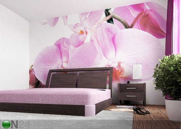 Fototapeet Purple orchid 360x254 cm