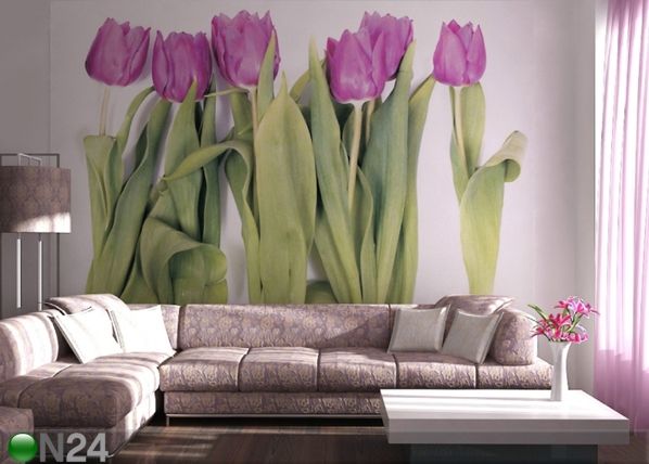 Fototapeet Purple tulips 360x254 cm