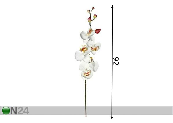 Kunstlill Orhidee kreem mõõdud