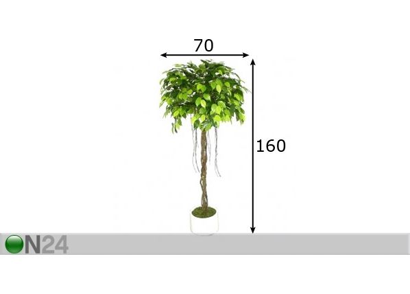 Kunstpuu Ficus 160cm mõõdud