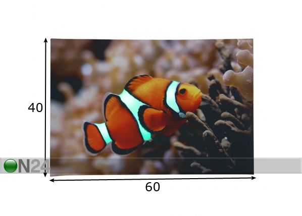 LED pilt värvi vahetav, Clown Fish 60x40 cm