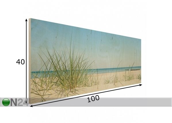 Seinapilt puidul Baltic Coast 40x100 cm mõõdud