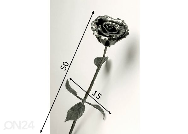 Sepistatud roos mõõdud