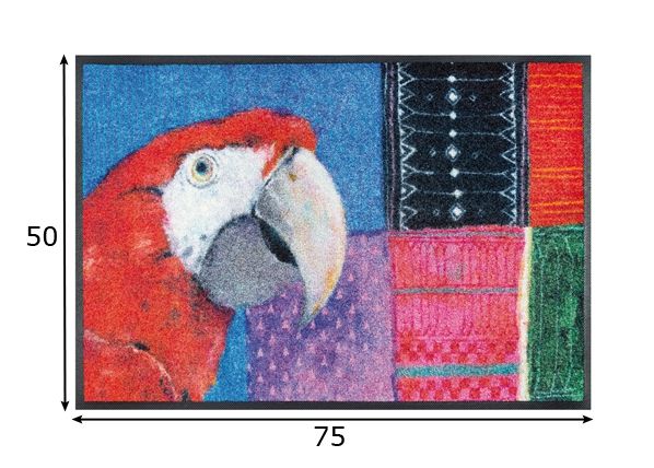 Vaip Paradise Papagei 50x75 cm mõõdud