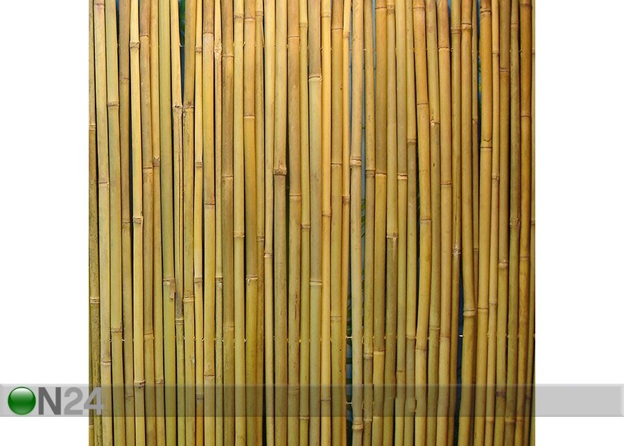 Bambusaed rullis 1,5x3 m suurendatud
