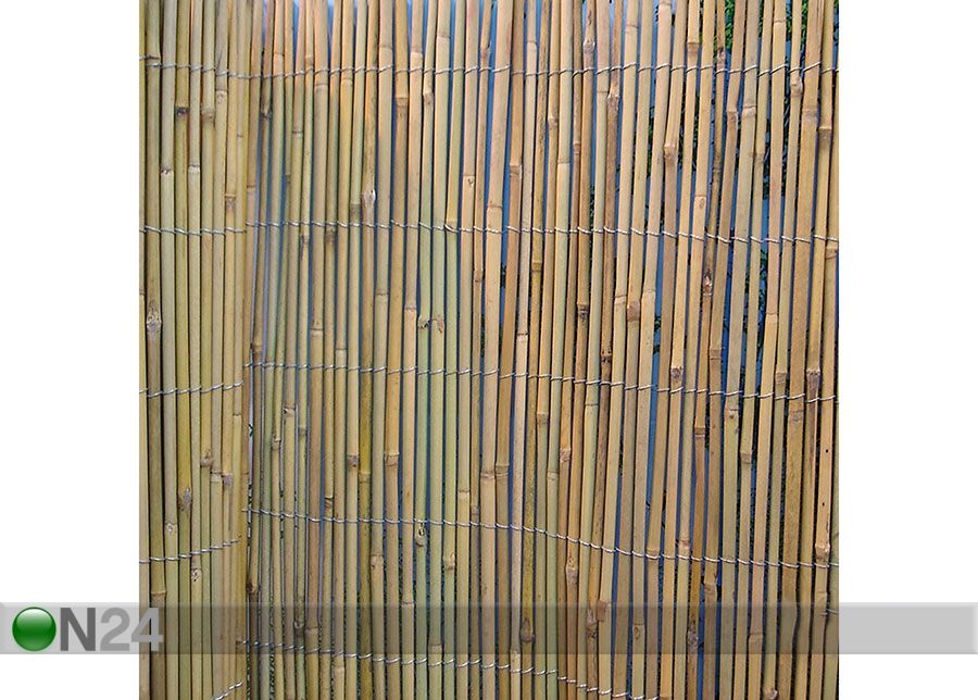 Bambusaed rullis 2x5 m suurendatud