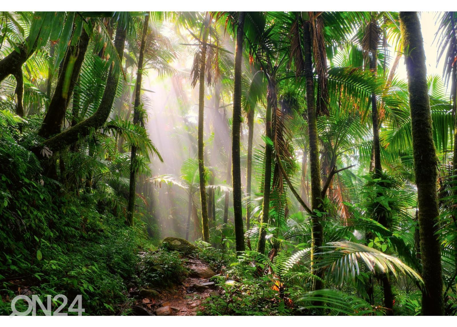 Fliis fototapeet Beautiful Jungle Path suurendatud