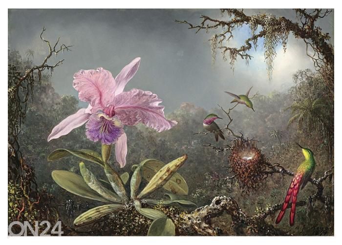 Fliis fototapeet Cattleya Orchid and Three Hummingbirds by Martin Johnson Heade 400x260 cm suurendatud