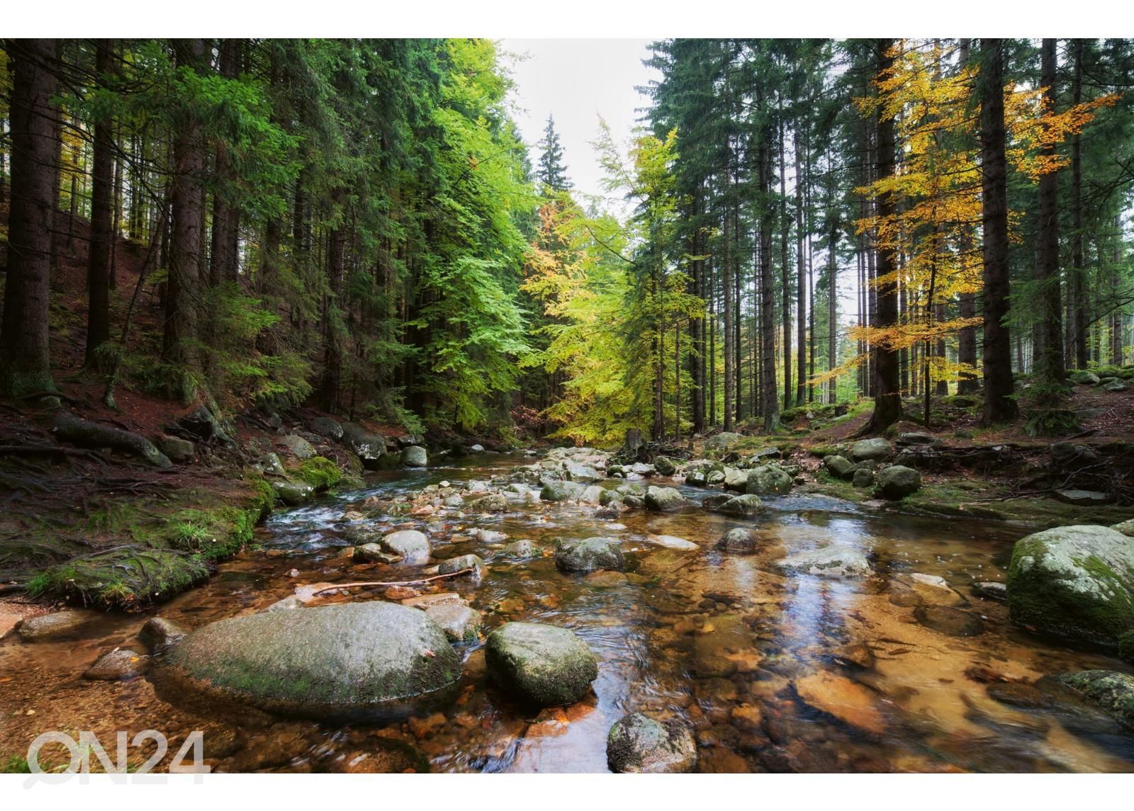 Fliis fototapeet Forest Stream suurendatud
