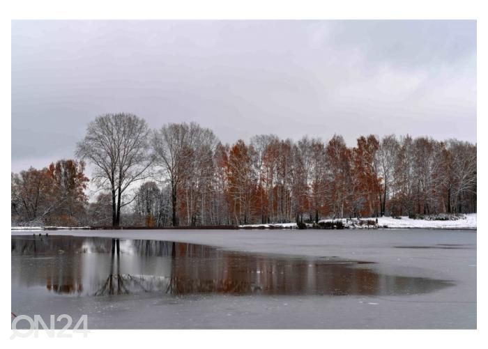 Fliis fototapeet Gloomy Cold October Day in the Autumn Park Near the Lake 400x260 cm suurendatud