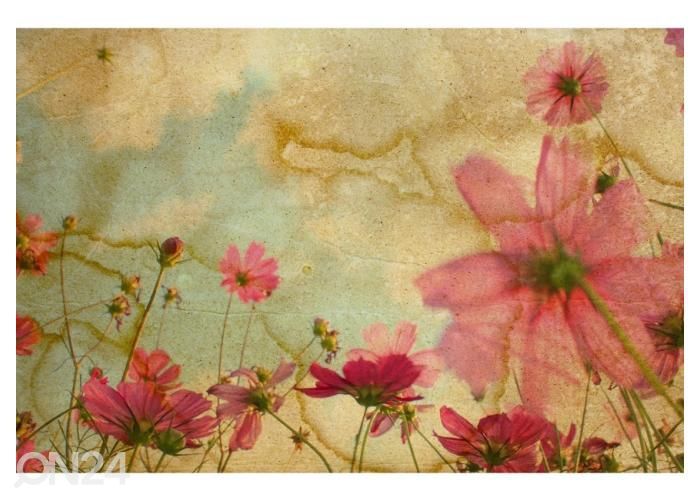 Fliis fototapeet Old and worn flower paper texture background 400x260 cm suurendatud