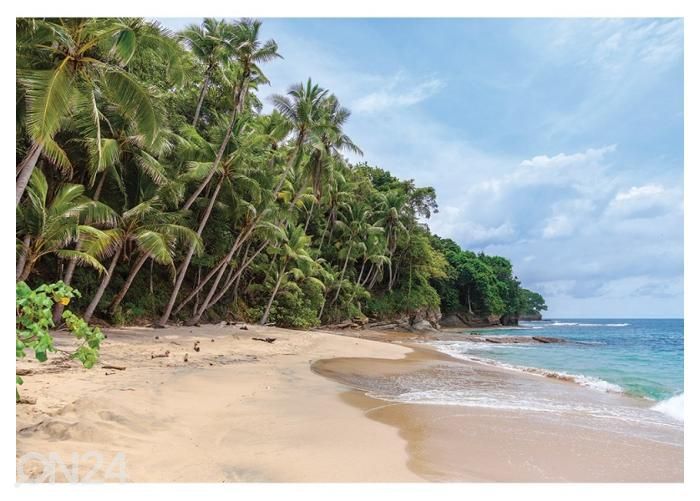 Fliis fototapeet Playa Blanca, Saboga, Panama 400x260 cm suurendatud