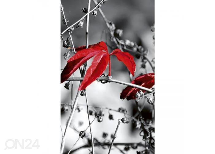 Fliis fototapeet Red leaves on black 150x250 cm suurendatud