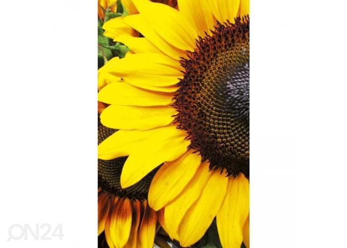 Fliis fototapeet Sunflowers 150x250 cm suurendatud