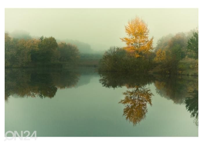 Fliis fototapeet Vintage autumn landscape with yellow tree by the river 400x260 cm suurendatud