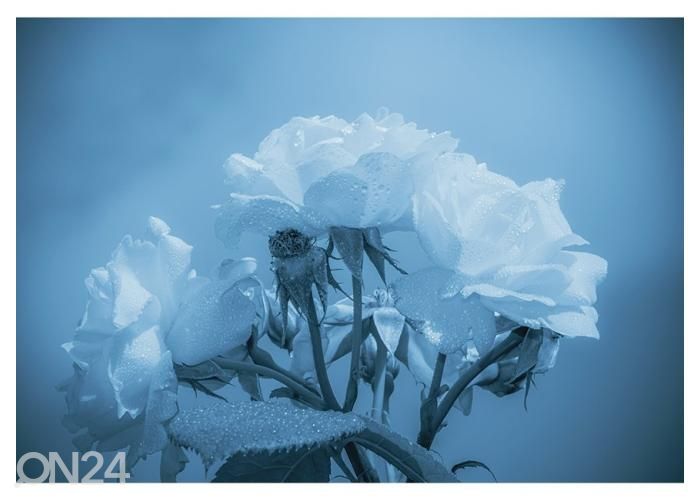 Fliis fototapeet White Flower with Water Drops 400x260 cm suurendatud