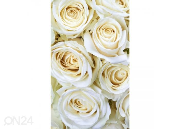 Fliis fototapeet White roses 150x250 cm suurendatud