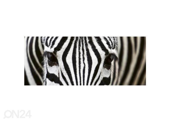 Fliis fototapeet Zebra 375x150 cm suurendatud