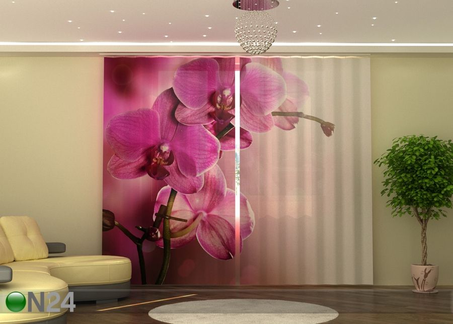 Fotokardinad Purpl orchid suurendatud