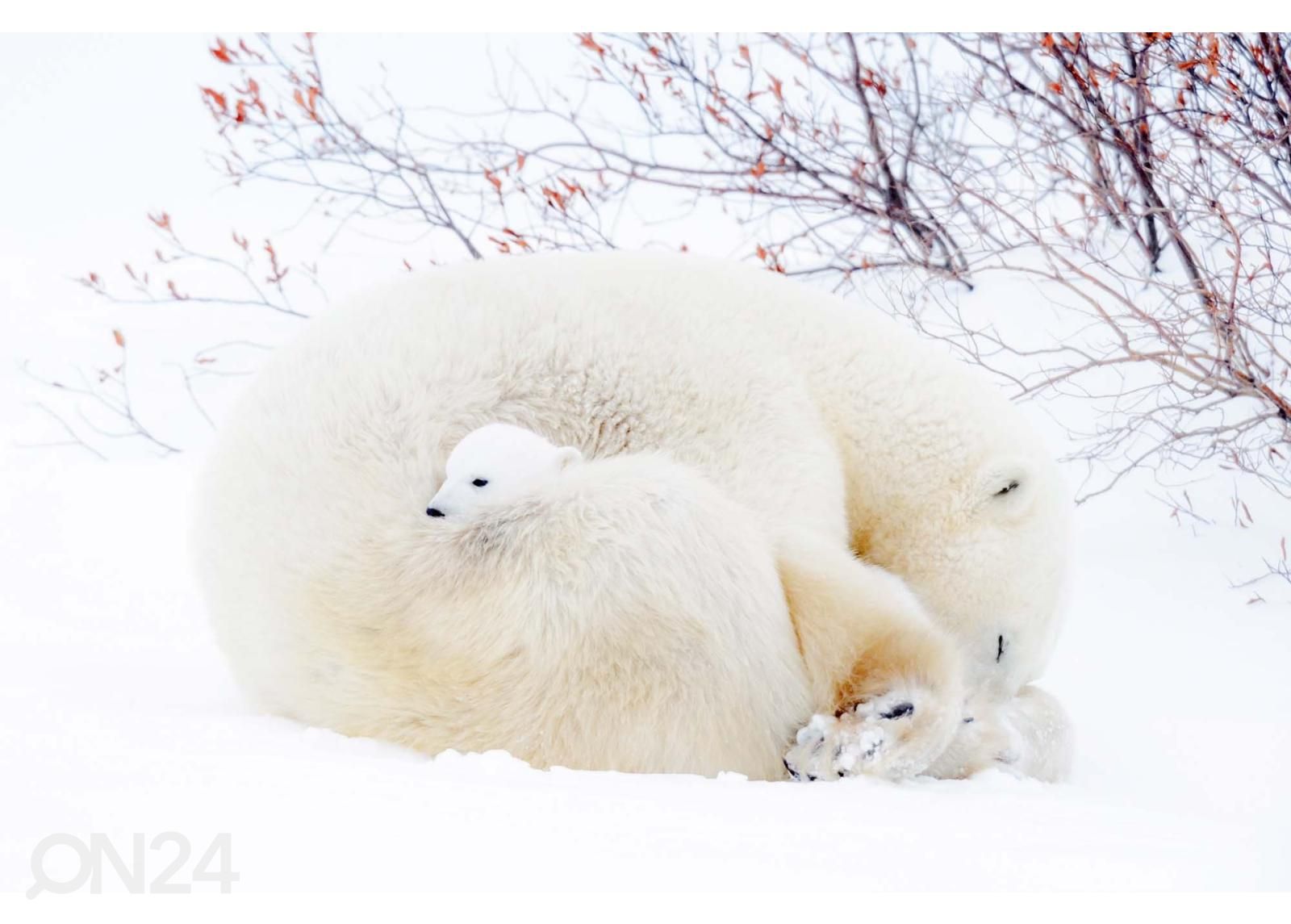 Isekleepuv fototapeet Blue Polar Bears suurendatud