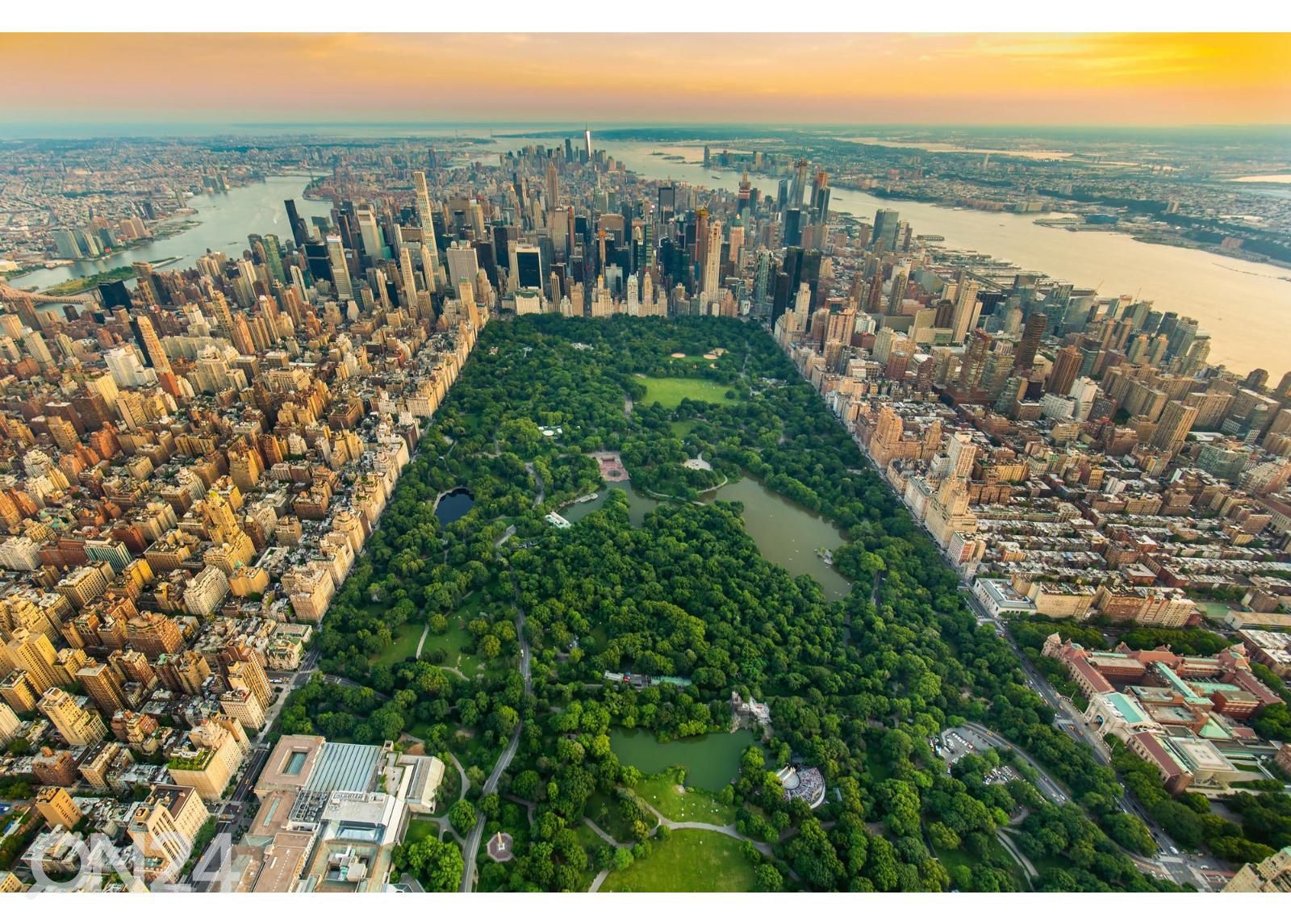 Isekleepuv fototapeet New York Central Park suurendatud