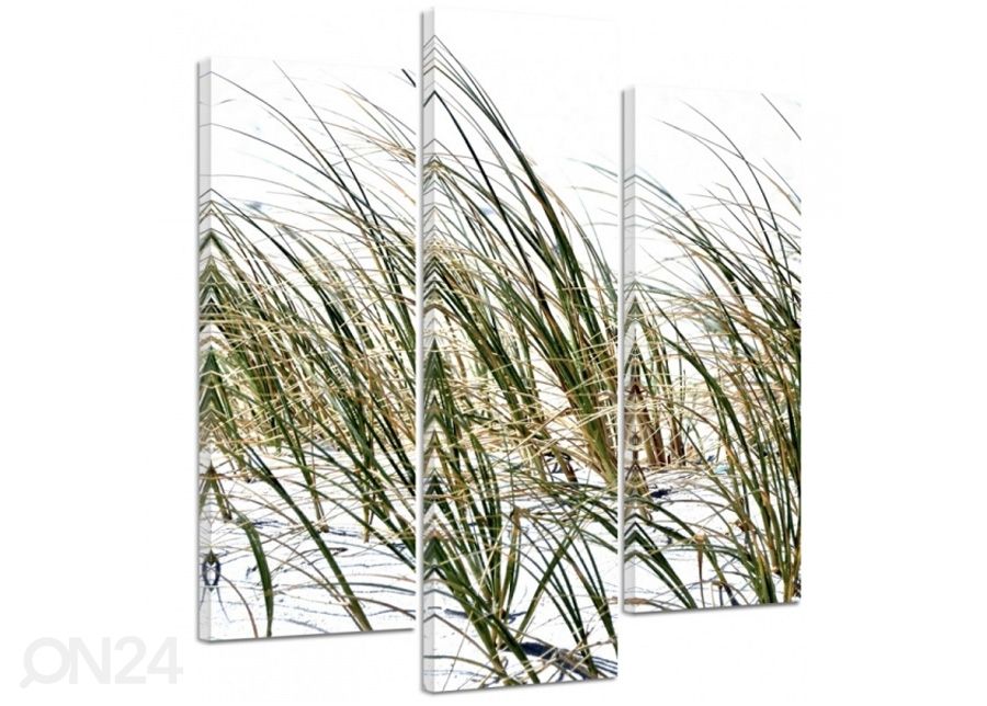 Kolmeosaline seinapilt Grass on the beach 3D 90x80 cm suurendatud