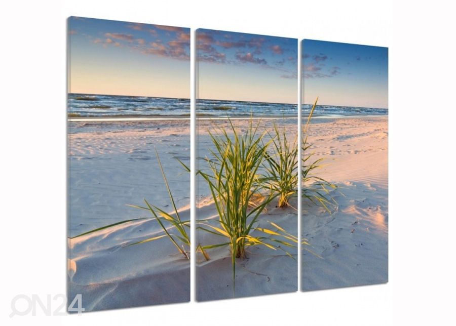 Kolmeosaline seinapilt Green grass on the beach 3D 90x80 cm suurendatud