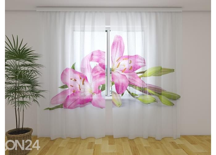 Läbipaistev fotokardin Big Pink Lilies 240x220 cm suurendatud
