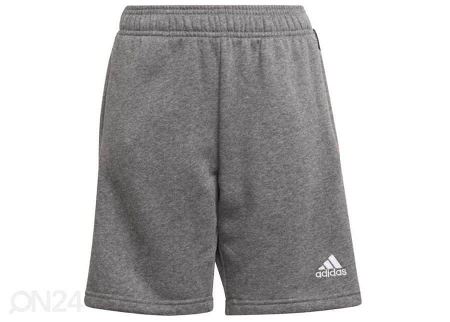 Laste lühikesed jalgpallipüksid Adidas Tiro 21 Sweat Short suurendatud