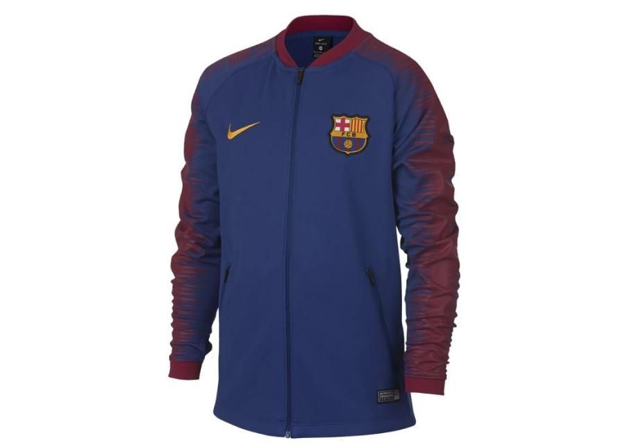 Laste treening dressipluus Nike FC Barcelona Junior 894412-456 suurendatud
