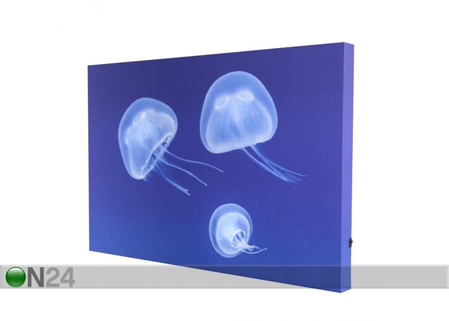 LED pilt Mural Jellyfish 60x40 cm suurendatud