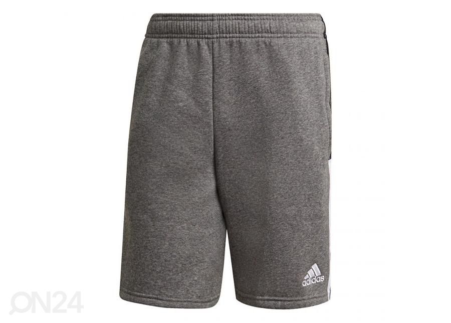 Meeste lühikesed vabaajapüksid Adidas Tiro 21 Sweat suurendatud