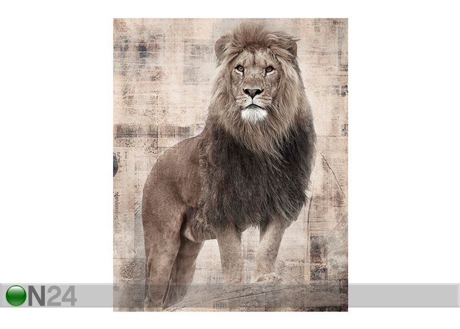 Pilt Lõvi, 40x50 cm suurendatud