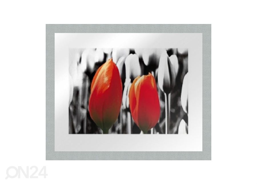 Pilt Modern - Two red tulips1 20x25 cm suurendatud