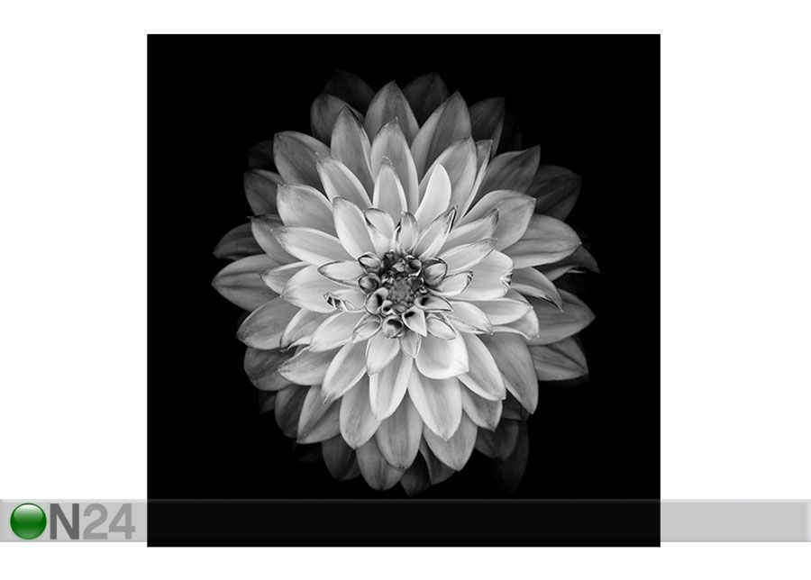 Pilt Mustvalge lill1, 40x40 cm suurendatud