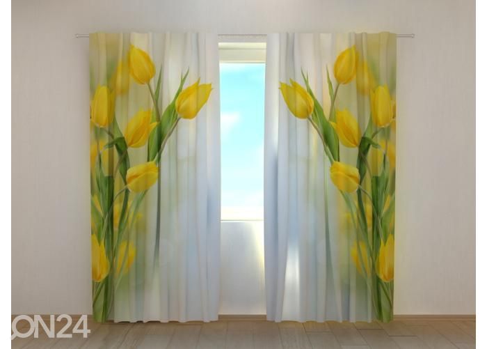 Pimendav fotokardin Beautiful Yellow Tulips 240x220 cm suurendatud
