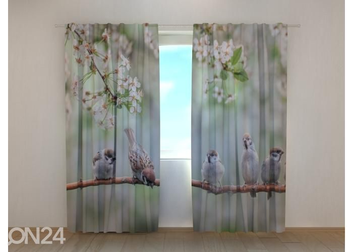 Pimendav fotokardin Small Birds on a Blooming Tree 240x220 cm suurendatud