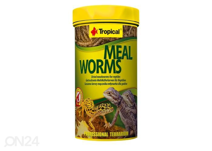 Reptiilide täiendsööt meal worms 250 ml suurendatud